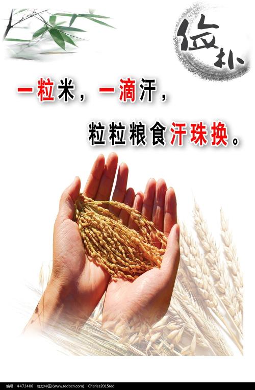 美喜德分校传媒毕业证